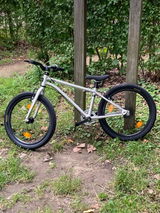 Gunter Biesmans review photo