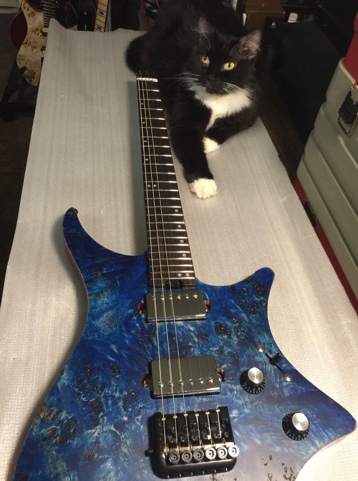 Eart Guitars GW2 Right Handed Satin Finish Headless Electric, Blue