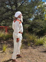 Satchitananda review photo