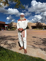 Satchitananda review photo