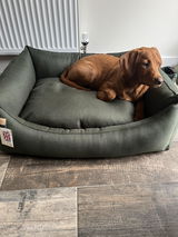 Rosie review photo