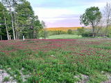 Pollinators stop here review photo