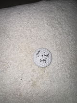 Lindsay S. review photo