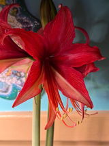 Jill E. Stackley review photo