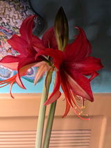 Jill E. Stackley review photo