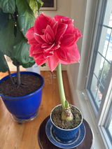 Stephanie Stewart review photo