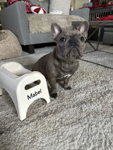 Mabel review photo