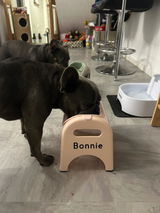 Two spoilt frenchies review photo