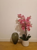 Anonyme review photo
