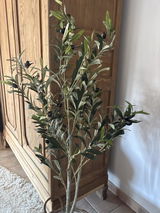 Anonyme review photo