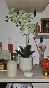 Anonyme review photo