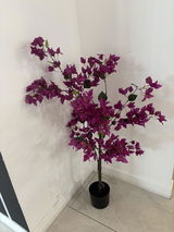 Dalila BELAKHDAR review photo