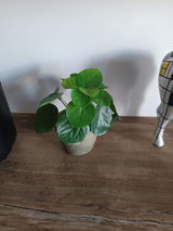 Anonyme review photo