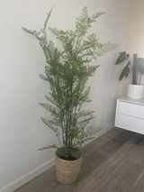 Anonym review photo