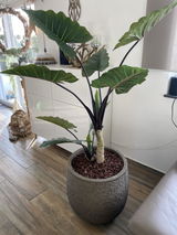 Anonym review photo