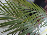 Anke G. review photo