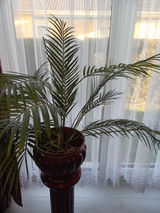Anke G. review photo