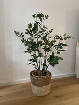 Anonym review photo