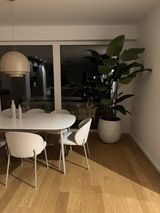 Anonym review photo