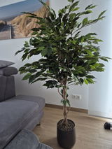Anonym review photo