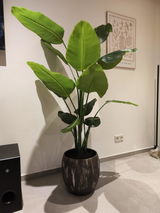 Ennis Yazidi review photo