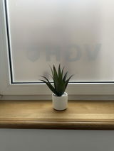 Löffler review photo