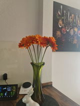Rainer Freisinger review photo