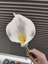 Anonym review photo
