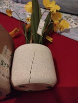 silvana ACUTI review photo