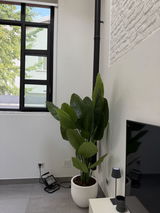 Alessandra Villa review photo
