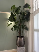 Ymke van der Hoeven review photo