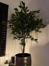 Sandra Van der laan review photo