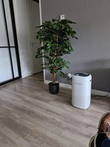 Henri Schipper review photo