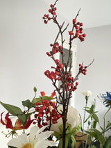 den braber review photo