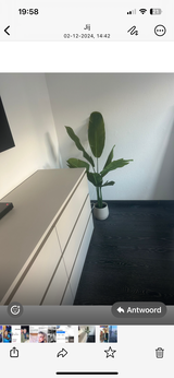 D Vlasveld review photo