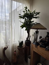Joyce Croese review photo