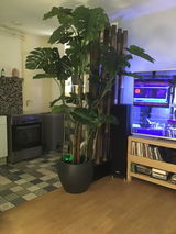 FT KUIPER review photo