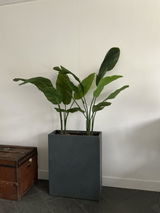 L Van den Berg review photo