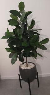Thea review photo