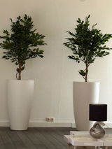 Henk Smits review photo