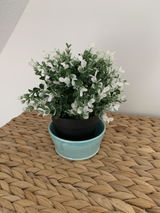 Rinske review photo