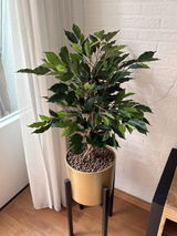 Cobi Vink review photo
