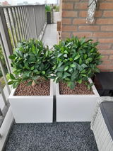 Anoniem review photo