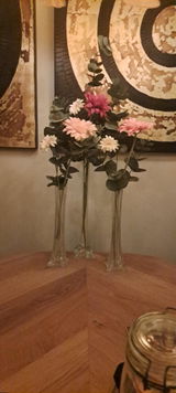 Marianne review photo