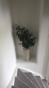 Roos review photo