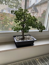 Lieve Mertens review photo