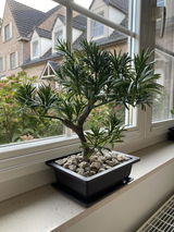 Lieve Mertens review photo