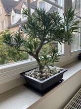 Lieve Mertens review photo