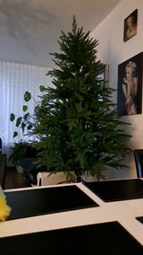 Anoniem review photo