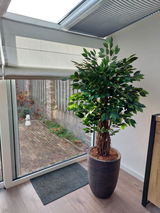 Pieter Linssen review photo